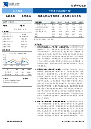 构建立体式营销网络，聚焦核心业务发展
