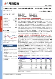 公司信息更新报告:2024年利润超预期增长,2025年轻装上阵稳步向前