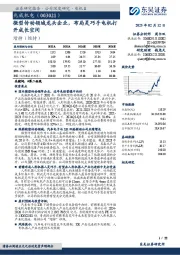微型传动领域龙头企业，布局灵巧手电机打开成长空间