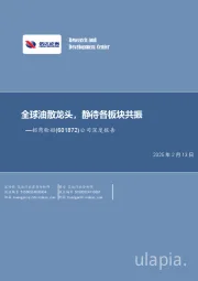 公司深度报告:全球油散龙头,静待各板块共振