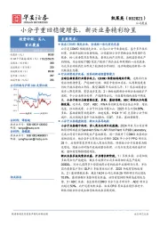小分子重回稳健增长，新兴业务精彩纷呈