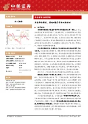 业绩弹性释放，国内+海外市场双轮驱动