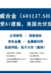 新材料受AI提振,美国光伏投产在即