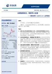 点评报告:业绩短期承压,铜浆导入加速