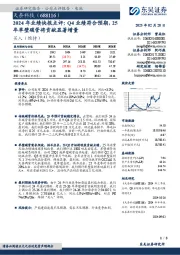 2024年业绩快报点评:Q4业绩符合预期,25年单壁碳管将贡献显著增量