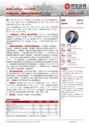 2024年年报点评:N型银浆龙头,高铜浆料有望加速量产