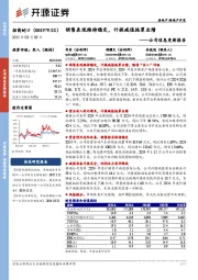 公司信息更新报告:销售表现维持稳定,计提减值拖累业绩