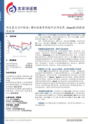 祥生医疗点评报告：横向拓展革新超声应用边界，SonoAI赋能强化纵深