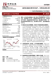 公司点评报告:盈利改善叠加新项目投产,四季度业绩大增