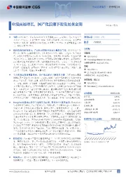 业绩高速增长，国产化浪潮下迎发展黄金期