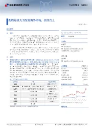 配股募资大力发展海外市场,扶摇直上