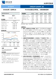 平台化效能逐步释放，业绩持续高增