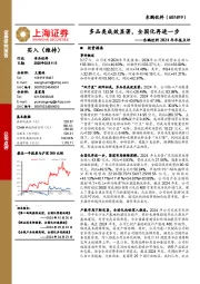东鹏饮料2024年年报点评:多品类成效显著,全国化再进一步