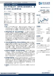 2024年年报点评:原料药业务短期承压,看好CDMO成为新增长极