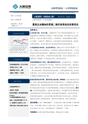聚焦主业精细化管理，提升效率成本优势突出