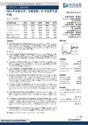 2024年年报点评:业绩亮眼,25年高景气度可期