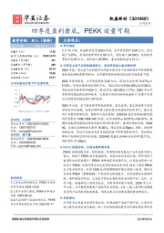 四季度盈利磨底，PEKK放量可期