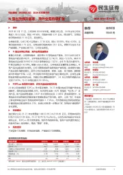 2024年年报点评:N型出货提升显著,海外业务持续扩张