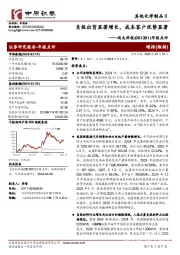年报点评：负极出货显著增长，成本客户优势显著