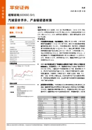 汽玻量价齐升，产业链话语权强