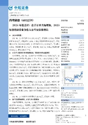 2024年报点评:在手订单大幅增加,2025年持续经营业务收入有望双位数增长