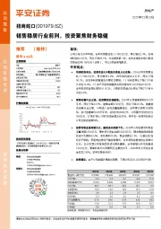 销售稳居行业前列,投资聚焦财务稳健