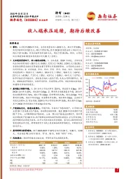 2024年报点评:收入端承压延续,期待后续改善