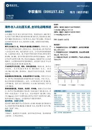 海外收入占比超五成，全球化战略推进