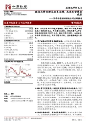 公司点评报告:减值与费用增长拖累业绩,未来有望恢复成长
