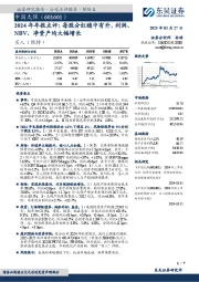 2024年年报点评:每股分红稳中有升,利润、NBV、净资产均大幅增长