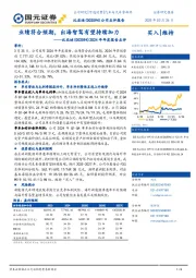2024年年度报告点评:业绩符合预期,出海智驾有望持续加力