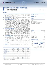 2024年度业绩点评：2024年业绩承压，期待2025年修复