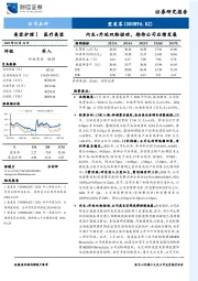 内生+外延双轮驱动，期待公司后续发展