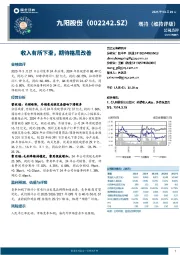 收入有所下滑，期待格局改善
