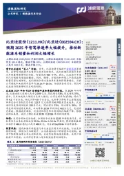 预期2025年智驾渗透率大幅提升,推动新能源车销量和利润大幅增长