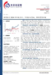 招商银行2024年年报点评：中期分红落地，静待零售回暖