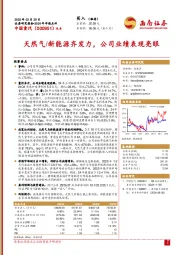 2024年年报点评：天然气/新能源齐发力，公司业绩表现亮眼