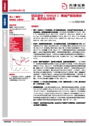 公司简评报告:高端产能陆续投放,盈利拐点将至