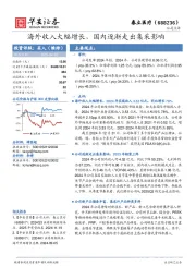 海外收入大幅增长，国内逐渐走出集采影响