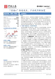 “存储+”快速成长，产品线不断拓宽