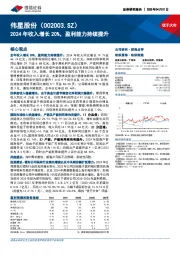 2024年收入增长20%，盈利能力持续提升