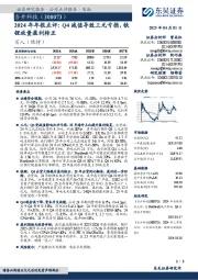 2024年年报点评:Q4减值导致三元亏损,铁锂放量盈利转正