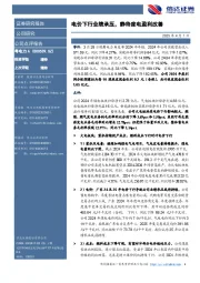 电价下行业绩承压，静待度电盈利改善