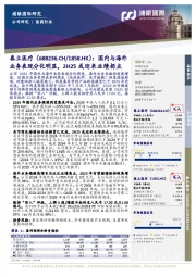 国内与海外业务表现分化明显,2H25或迎来业绩拐点