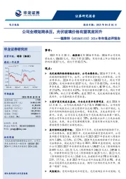 2024年年报点评报告:公司业绩短期承压,光伏玻璃价格有望筑底回升