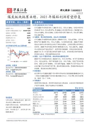 煤炭板块拖累业绩，2025年煤铝利润有望修复