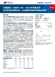 2024年年报点评:铅价波动扰动短期业绩,以旧换新等政策助推铅酸电池增长