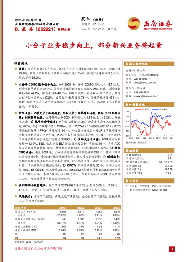 2024年年报点评：小分子业务稳步向上，部分新兴业务将起量