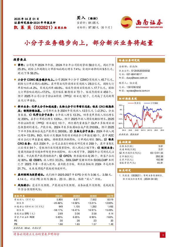 2024年年报点评：小分子业务稳步向上，部分新兴业务将起量