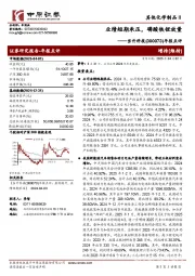 年报点评:业绩短期承压,磷酸铁锂放量